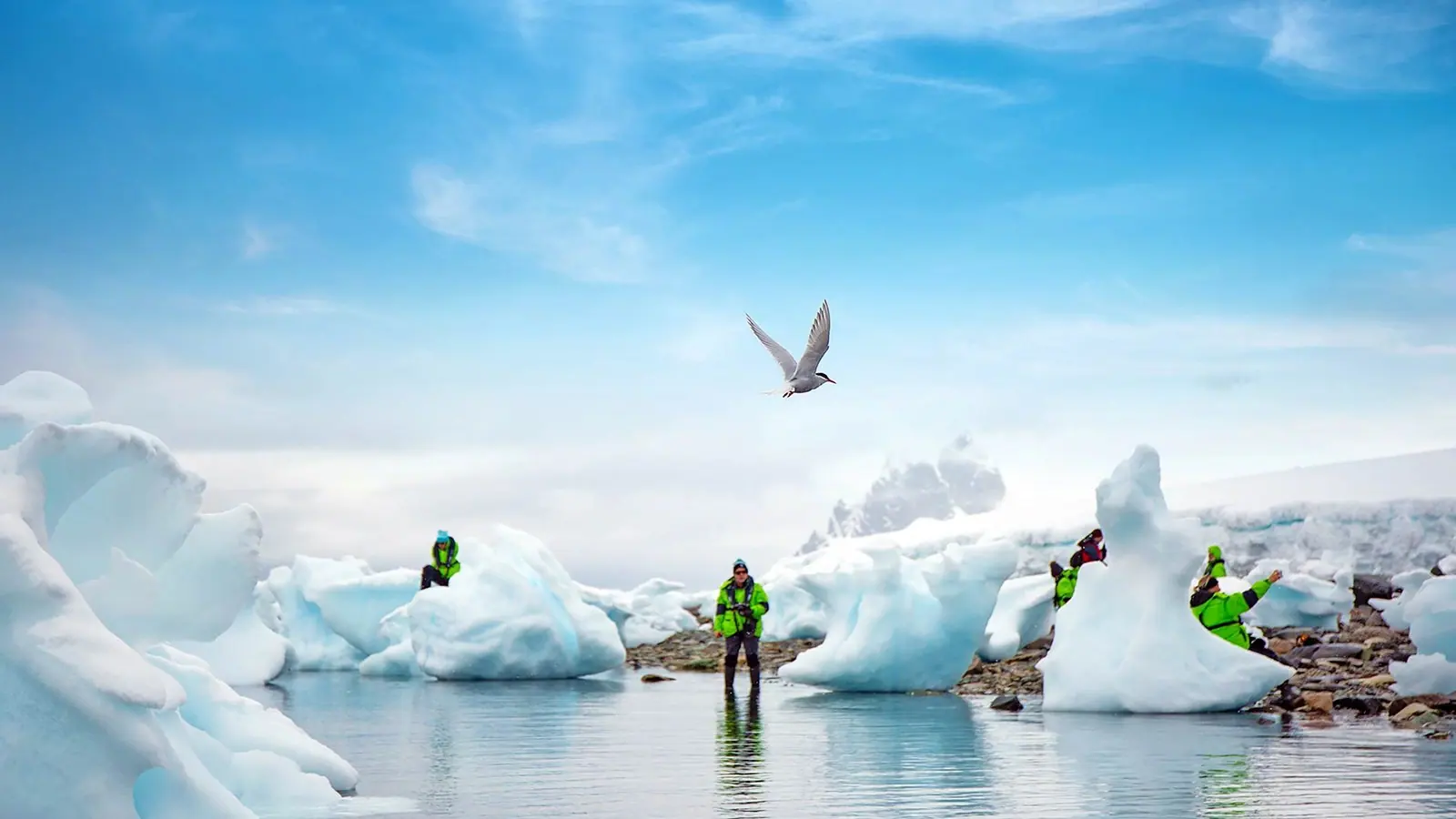 Magellan Discoverer Antarctic Express Air-Cruise Small-Ship Expedition Rhythm