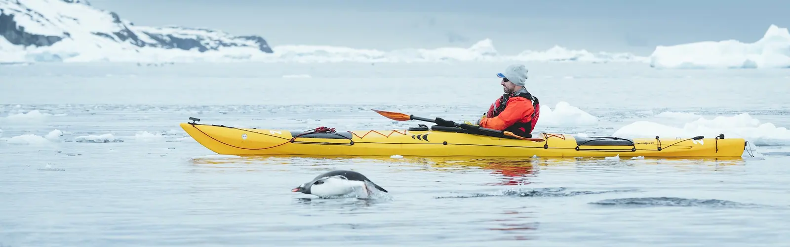 World Traveller 16-night Antarctic Peninsula and Falkland Islands South Atlantic Sea Days