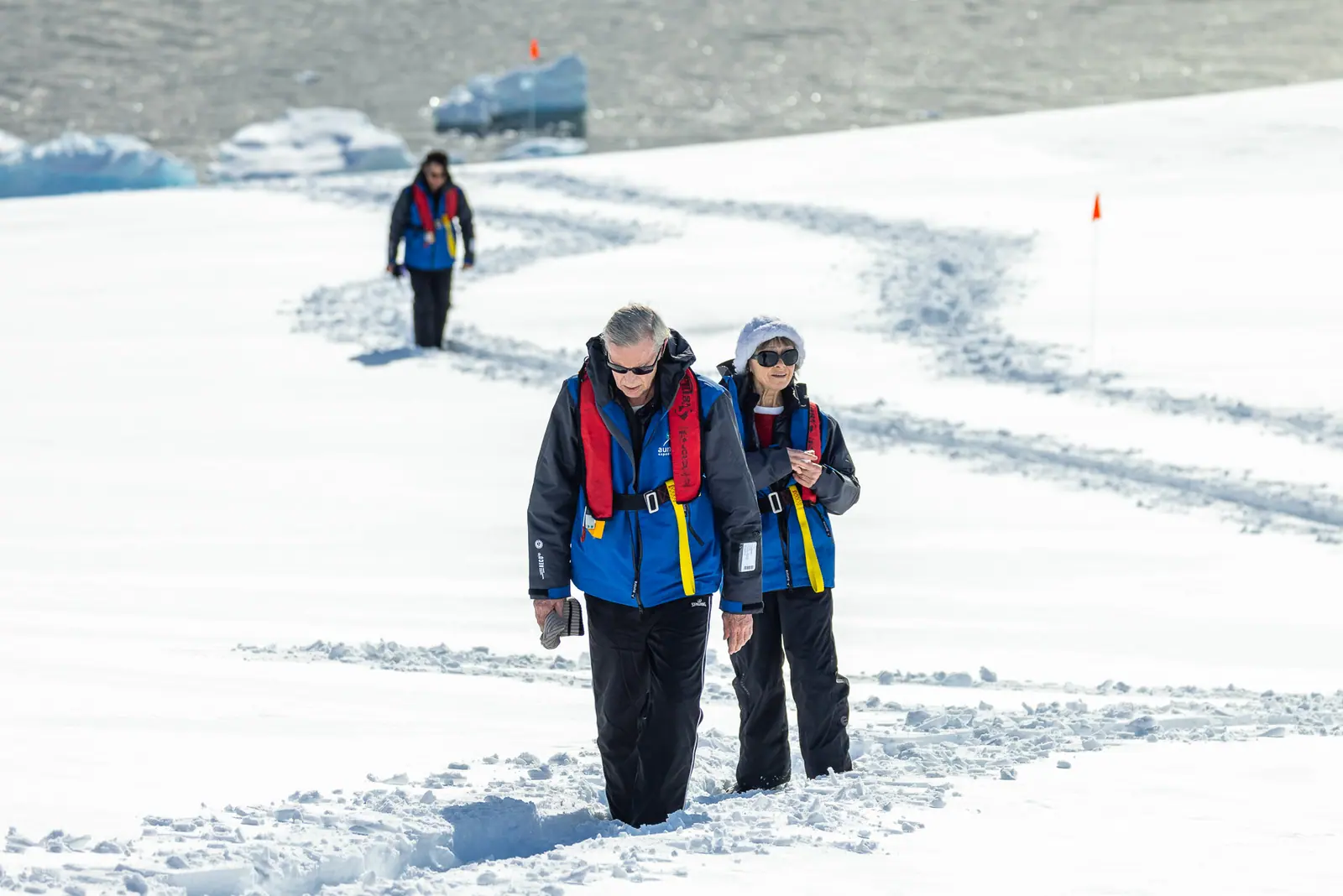 World Traveller 16-night Antarctic Peninsula and Falkland Islands Buenos Aires to Ushuaia