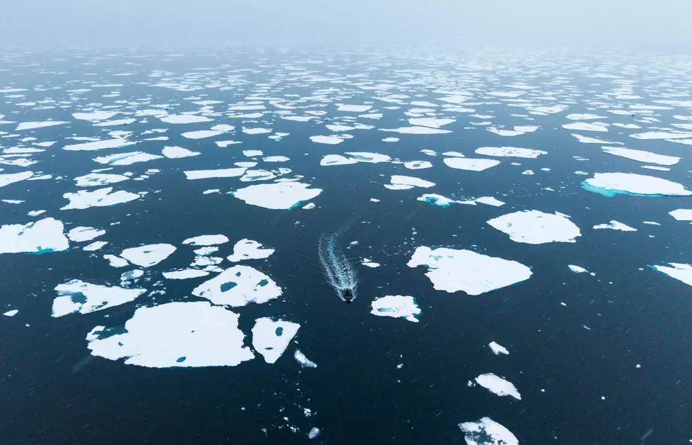 World Navigator 11-night Classic Antarctic Peninsula trip image 3