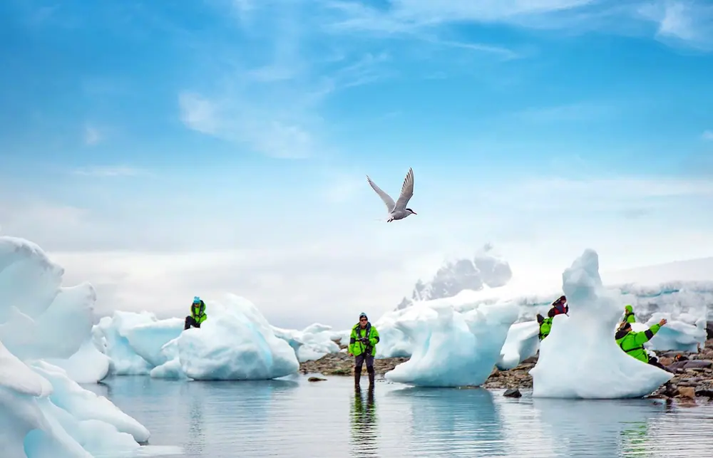 World Navigator 9-night Classic Antarctic Peninsula trip image 1