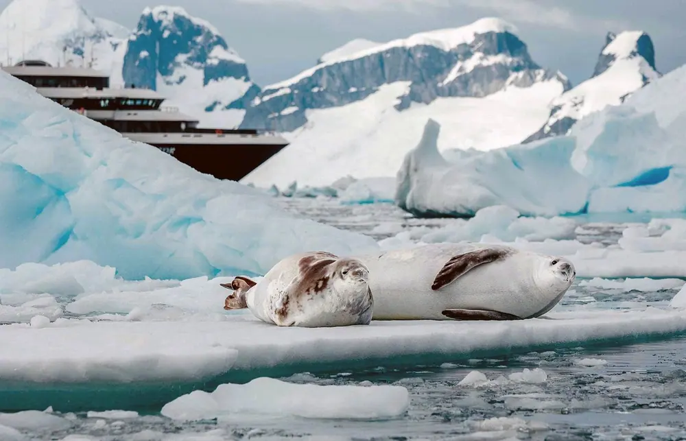 World Navigator 9-night Classic Antarctic Peninsula trip image 2