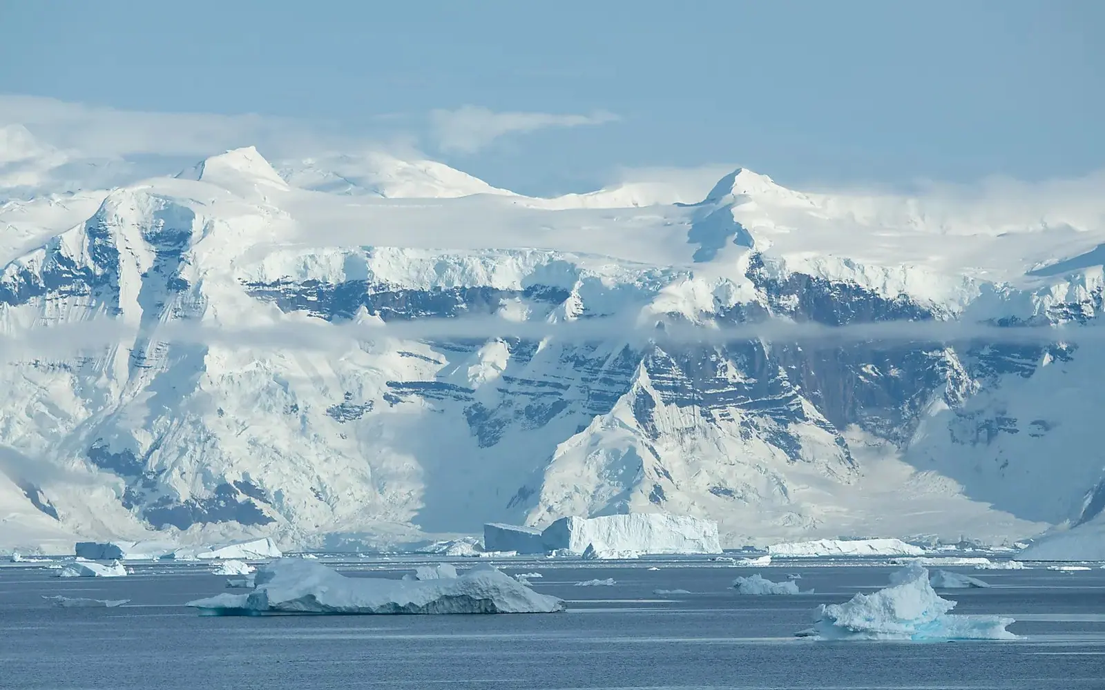World Navigator 9-night Classic Antarctic Peninsula Antarctic Wildlife Window