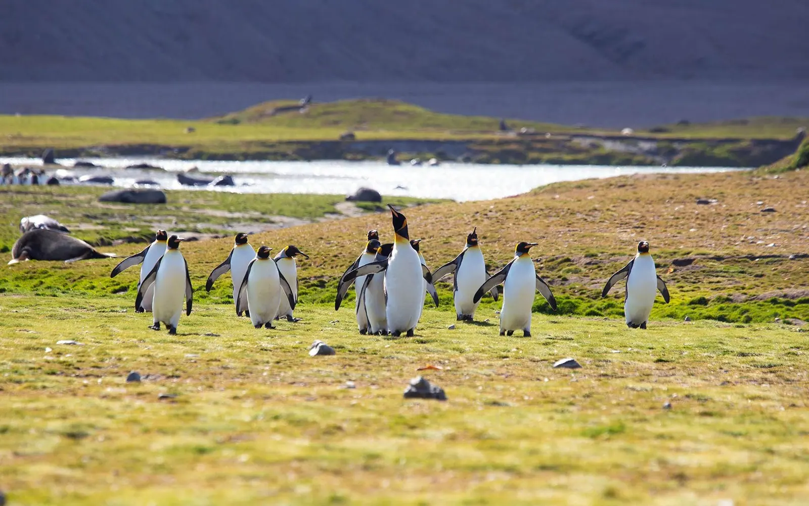 World Navigator 9-night Classic Antarctic Peninsula Icebergs, Glaciers and Southern Ocean Scenery