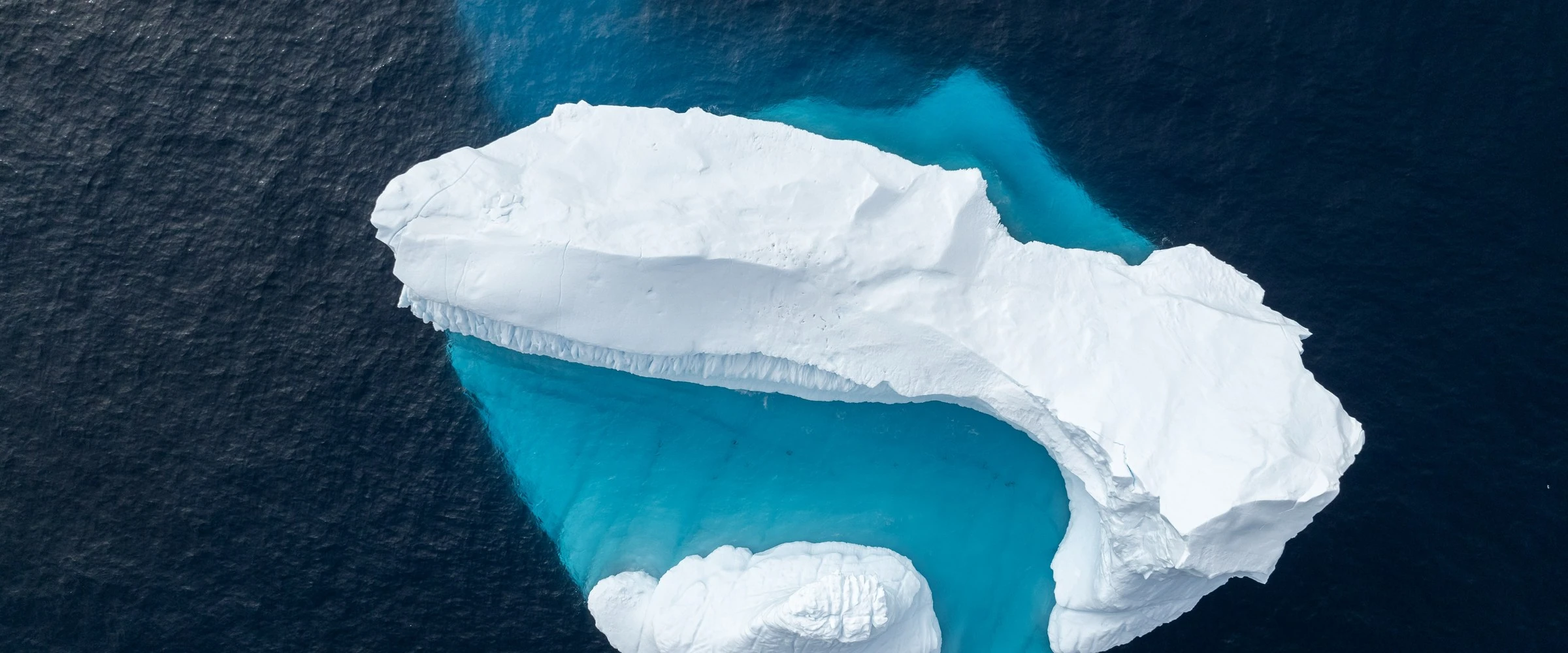World Traveller · 10-Day Antarctica Fly-Cruise, Nov 28, 2026
