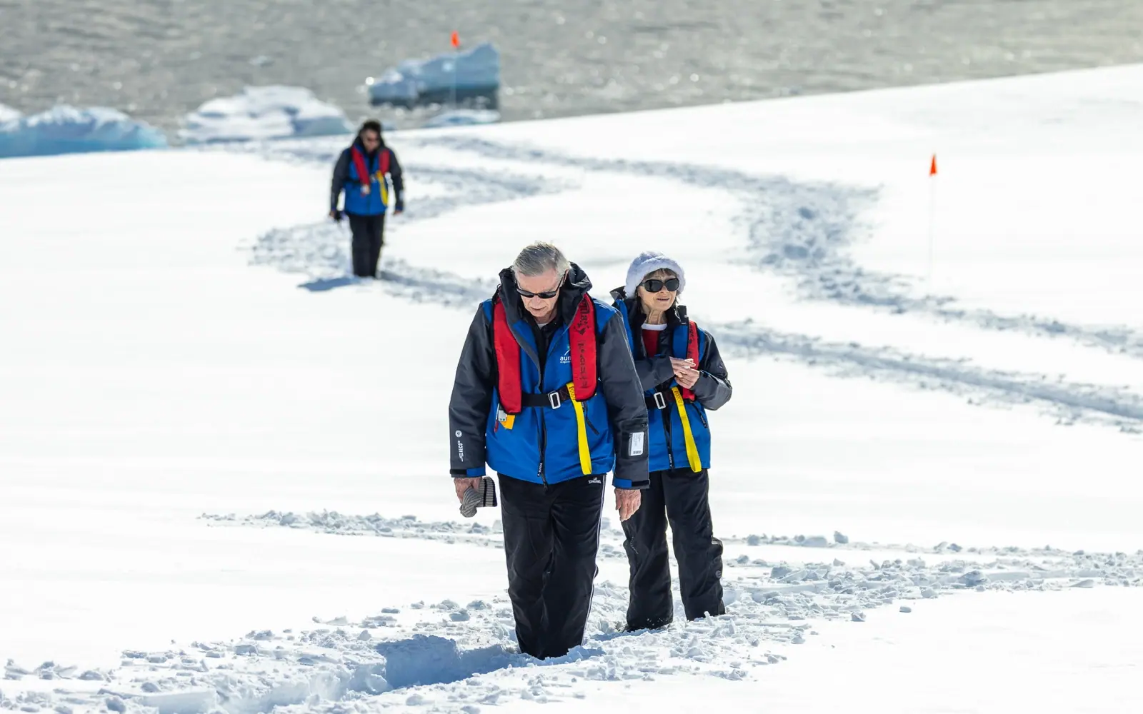 World Traveller 9-night Antarctica Fly-Cruise Zodiac Cruising and Landings