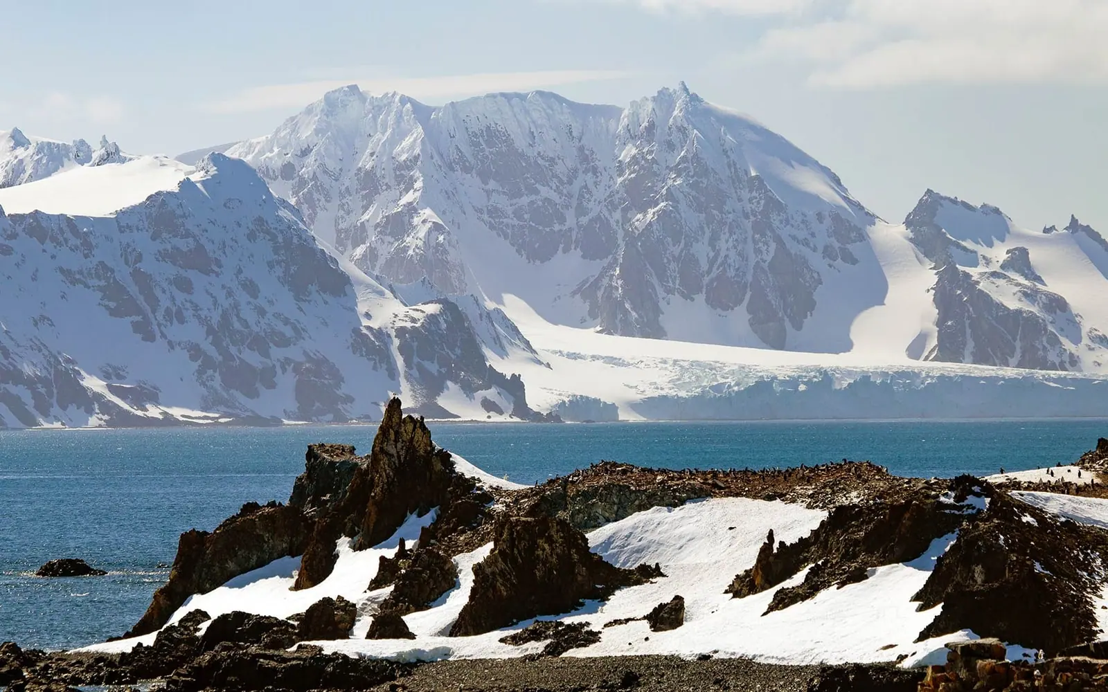 World Navigator 11-night Antarctic Circle and Peninsula Drake Passage Crossing and Expedition Preparation