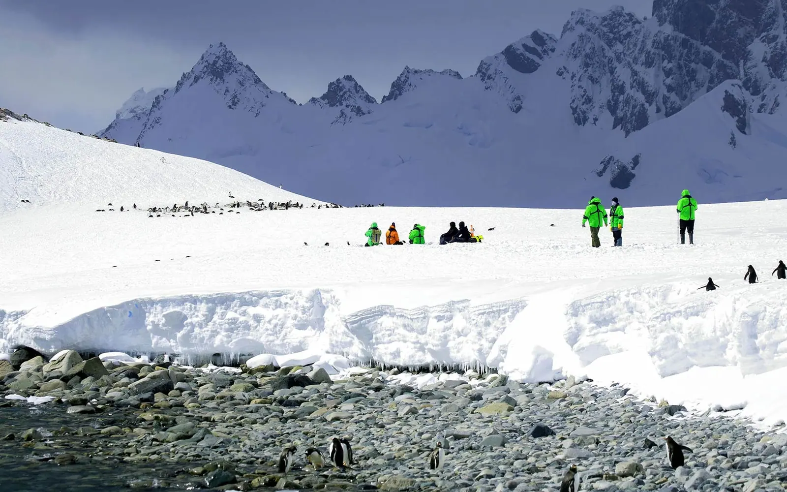 World Navigator 11-night Antarctic Circle and Peninsula Zodiac Cruising and Landings