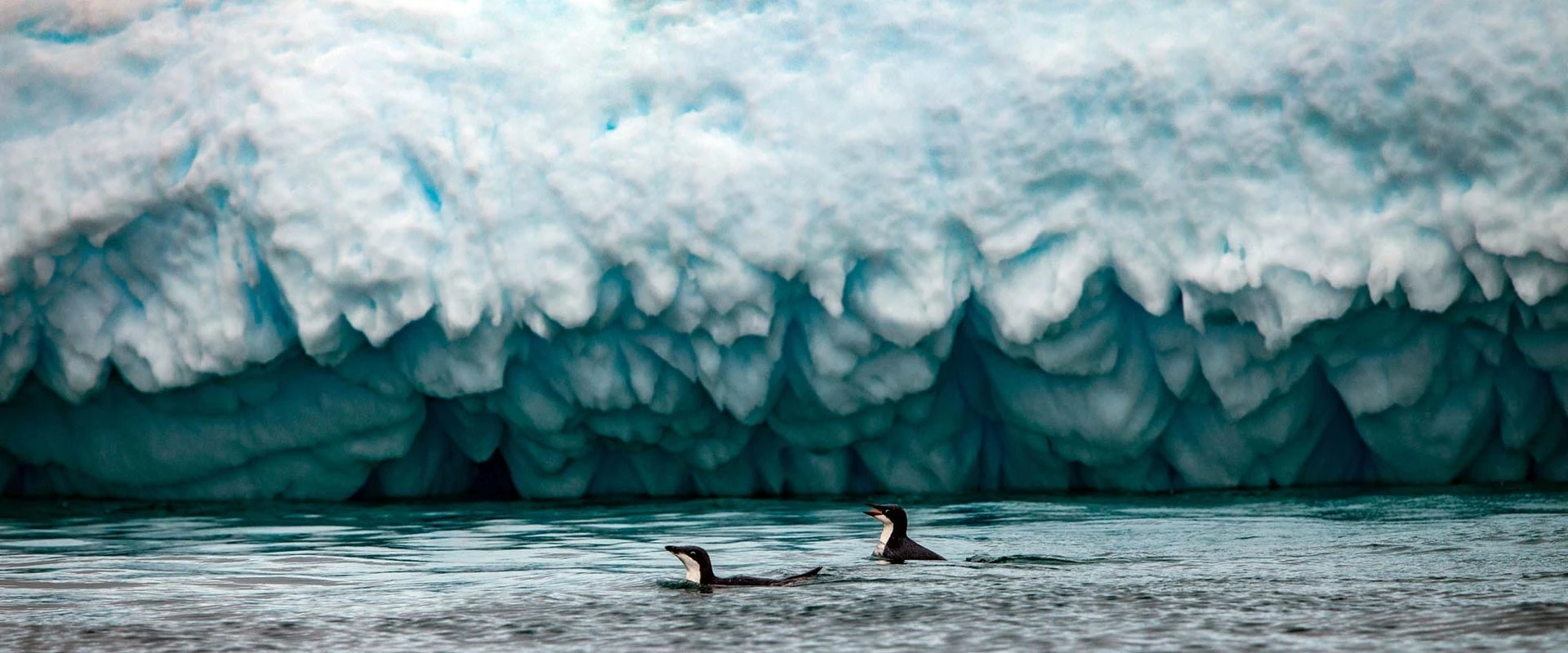 World Traveller · 12-Day Antarctic Circle and Peninsula Cruise, Dec 23, 2026