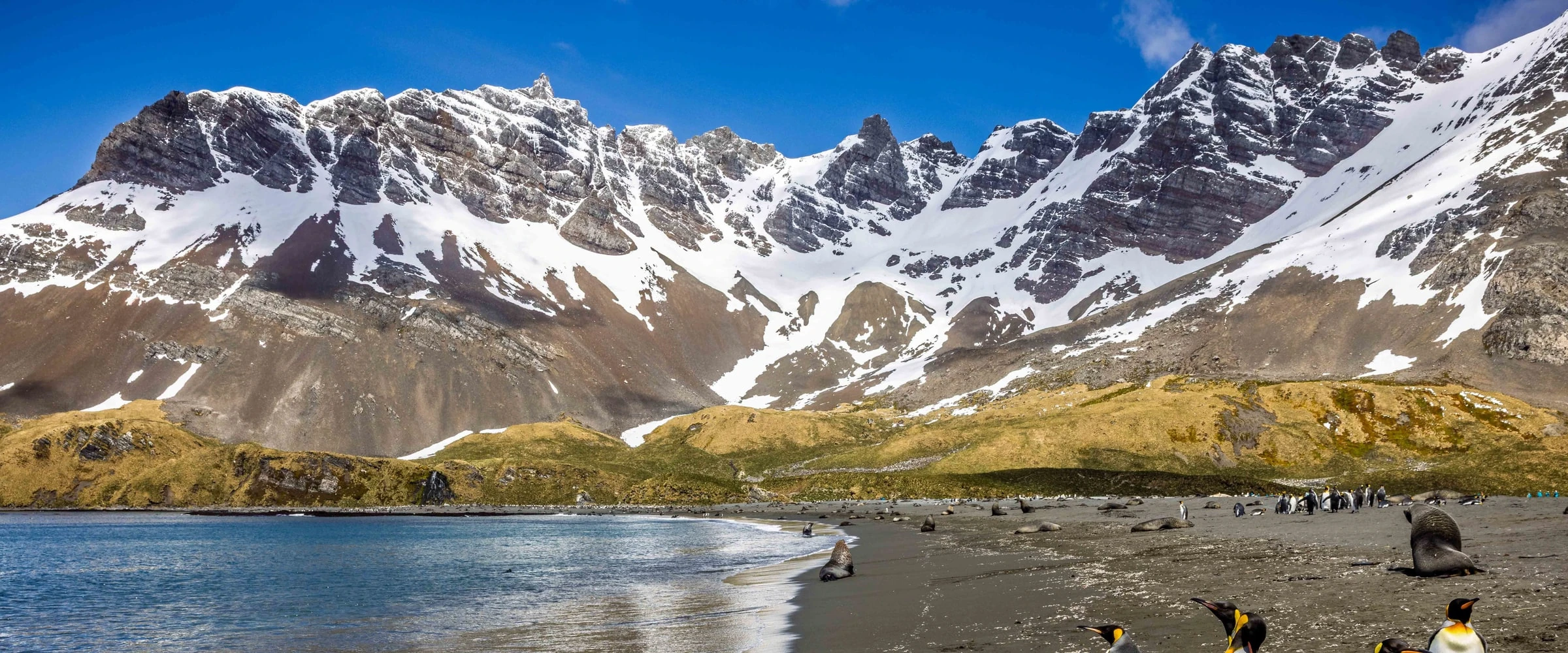 World Traveller · 19-Day Antarctica, South Georgia and Falkland Islands Cruise, Jan 3, 2027