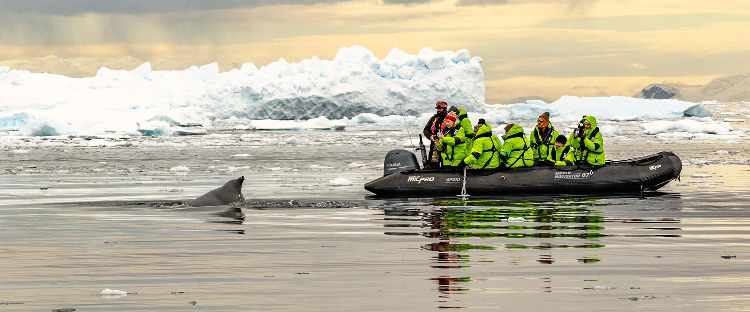 World Navigator · 8-Day Antarctica Fly-Cruise, Nov 28, 2027