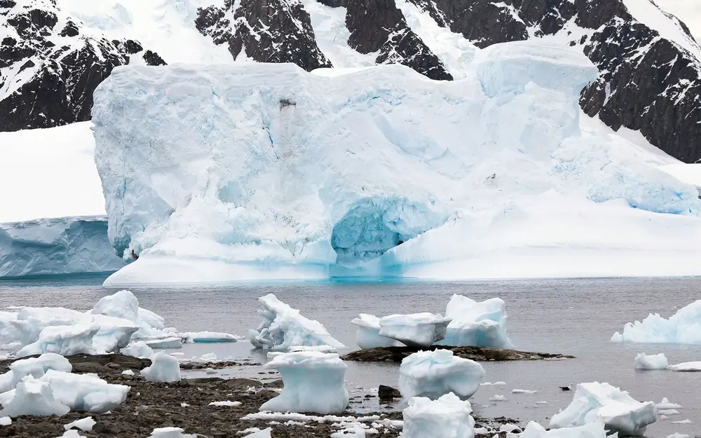 World Navigator 11-night Classic Antarctic Peninsula trip image 3