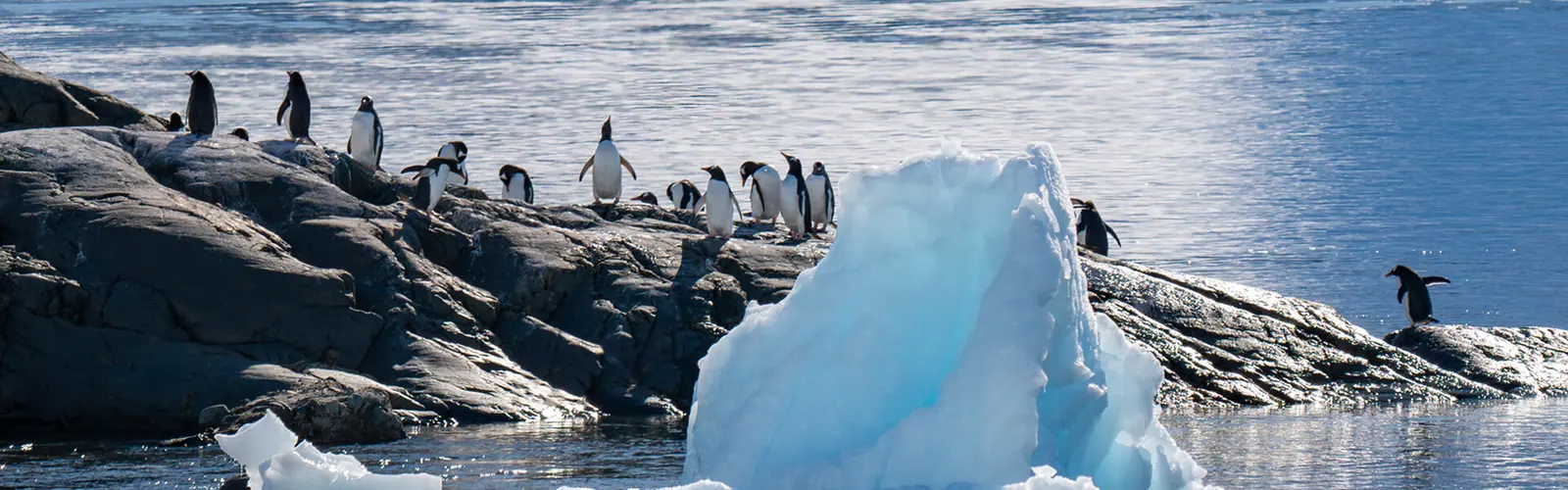 Douglas Mawson South Georgia and Antarctic Peninsula Expedition Shackleton-Inspired South Atlantic Route