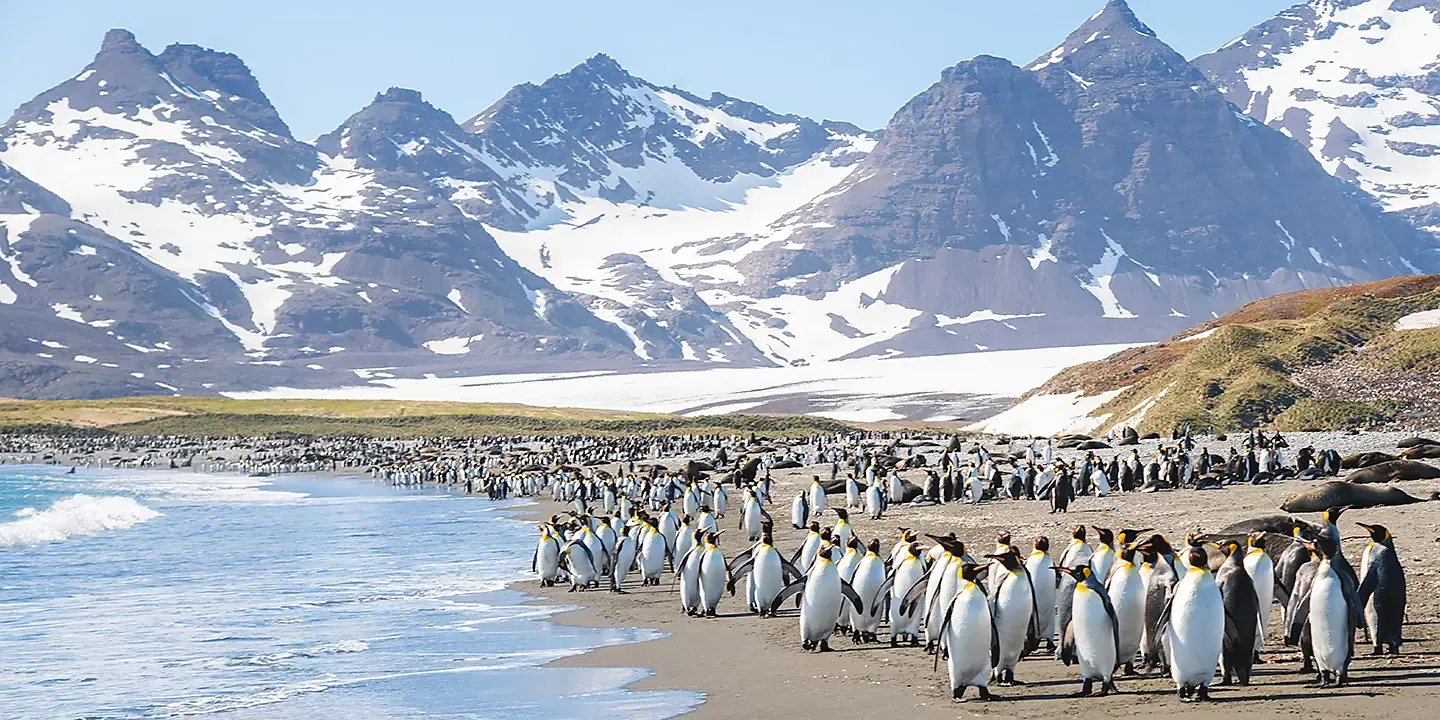 Douglas Mawson South Georgia and Antarctic Peninsula Expedition Antarctic Peninsula Ice Coast