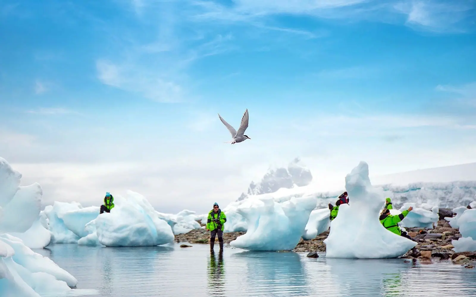 Sylvia Earle Across the Antarctic Circle Expedition Antarctic Circle and High-Latitude Ice