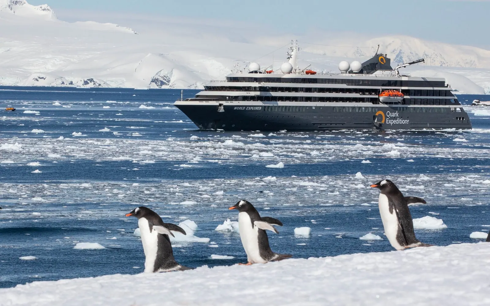 Sylvia Earle Active Antarctic Peninsula Expedition Zodiac Cruising and Landing Activities