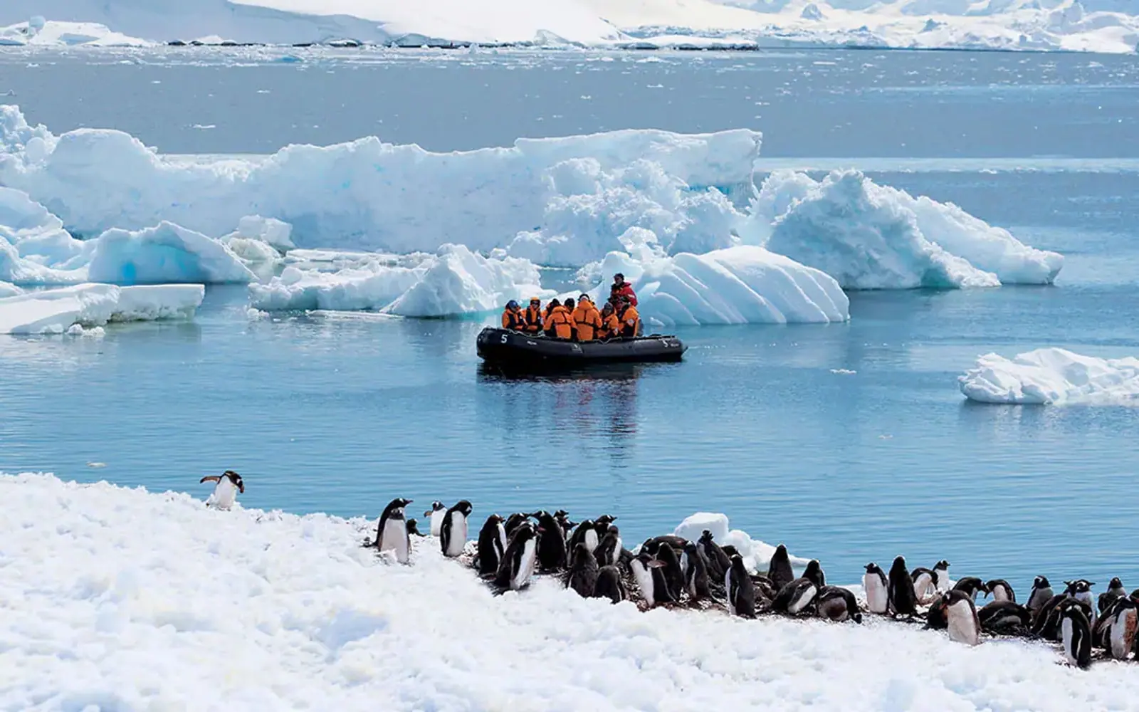 Sylvia Earle Active Antarctic Peninsula Expedition Zodiac Cruising and Landing Activities