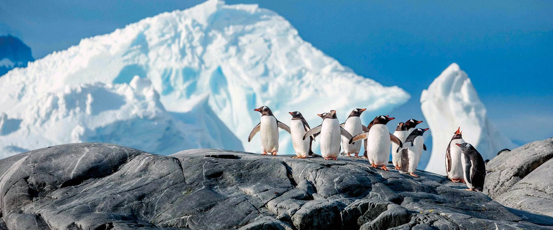 Douglas Mawson · 12-Day Classic Antarctic Peninsula Cruise, Feb 17, 2027