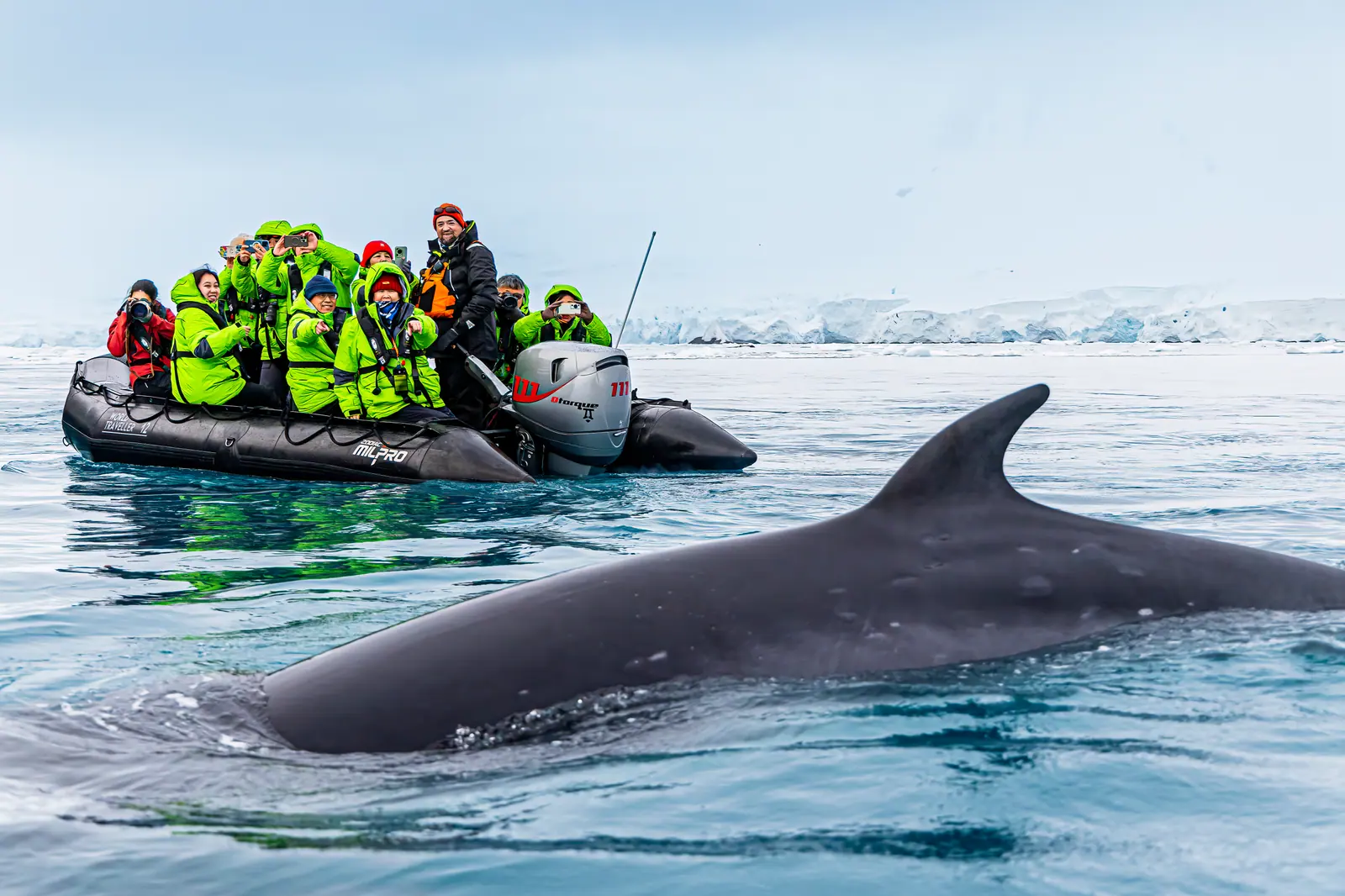 Antarctica Fly-Sail 2026 · Two Gateway Cities + Seven Countries in South America Highlight 5 image