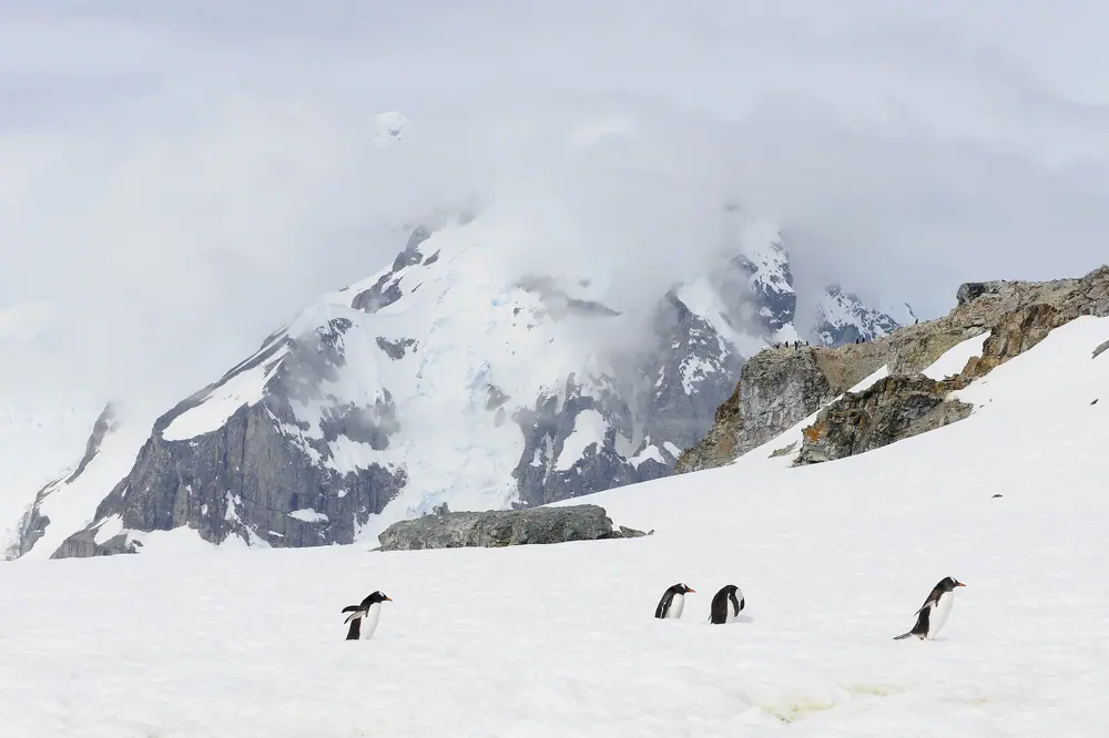 Antarctica Fly-Sail 2027 · Two Gateway Cities + Seven Countries in South America gallery image 1 image