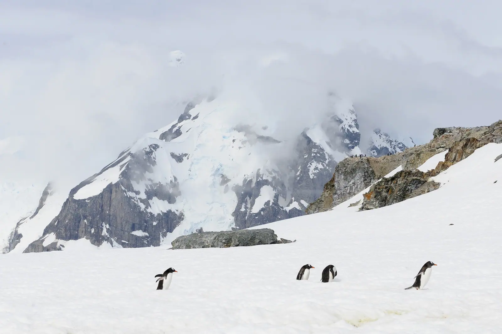 Antarctica Fly-Sail 2027 · Two Gateway Cities + Seven Countries in South America Highlight 7 image