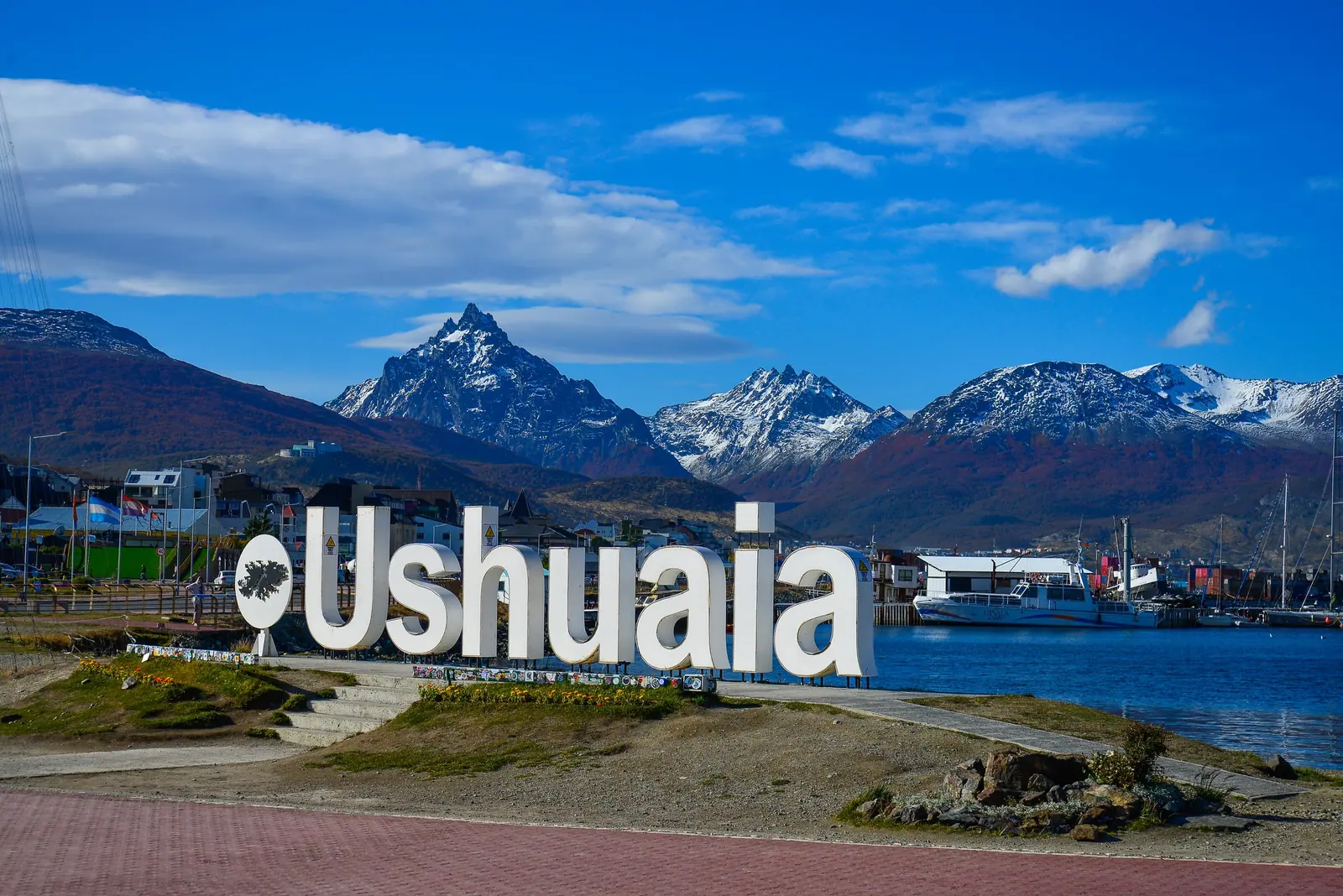 Antarctica and South Georgia · King Penguins + Seven Countries in South America Highlight 9 image
