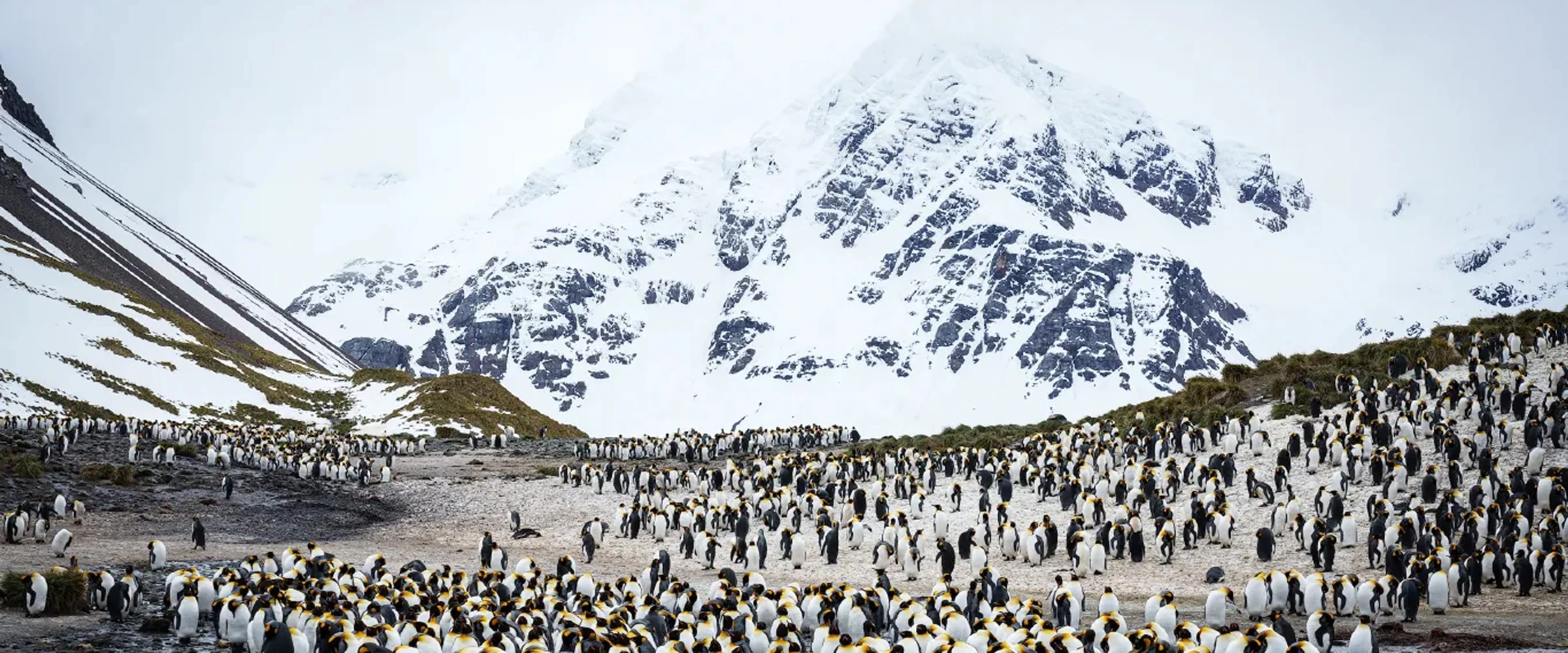 Le Lyrial · 19-Day Falkland Islands, South Georgia and Antarctic Peninsula Cruise, Dec 3, 2026