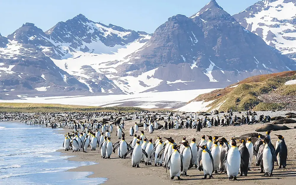 Le Commandant Charcot Weddell Sea Emperor Penguin Expedition trip image 3