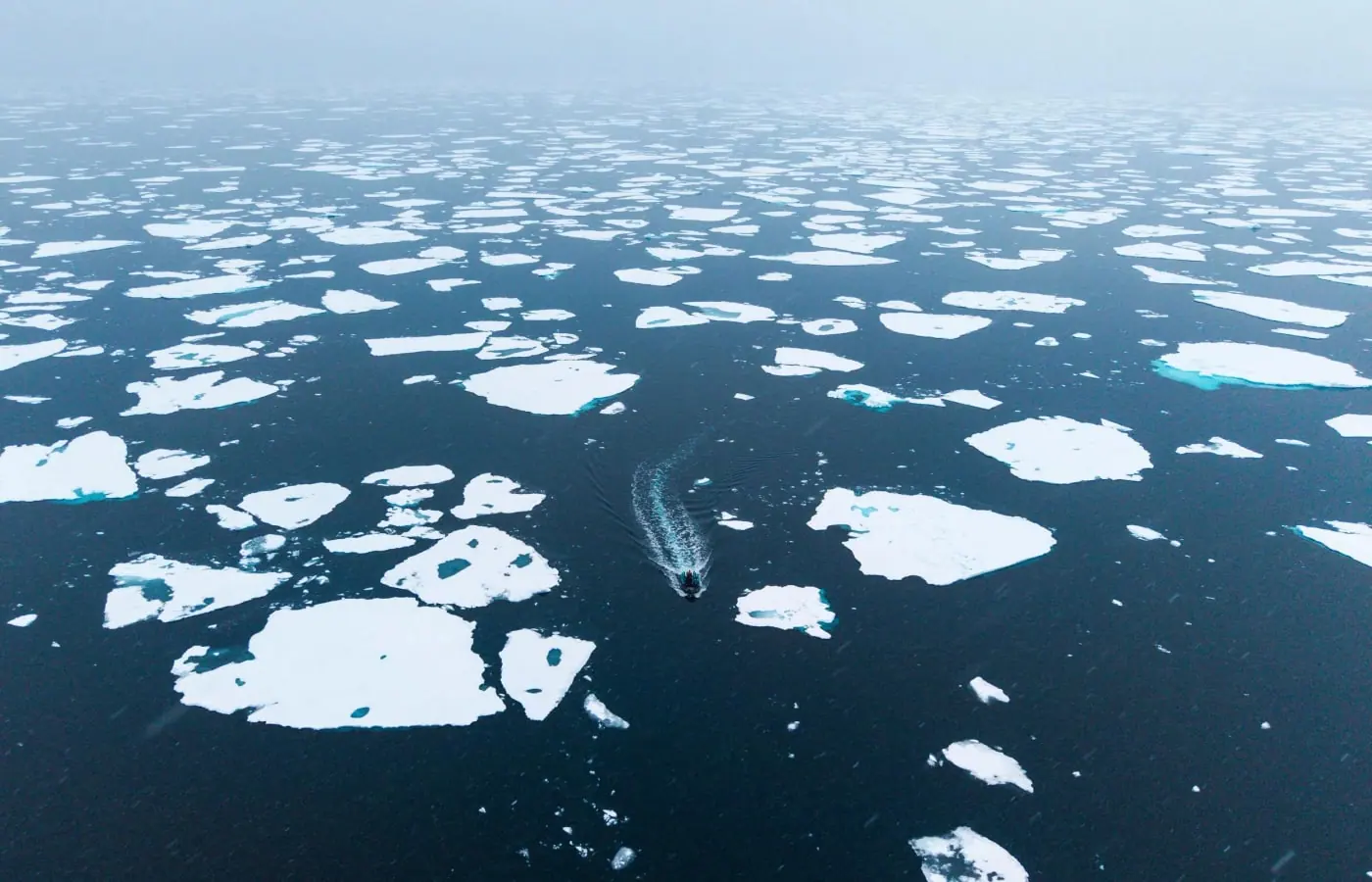 Ultramarine Emperor Penguin Quest to Snow Hill Sea-Ice Conditions Shape the Expedition