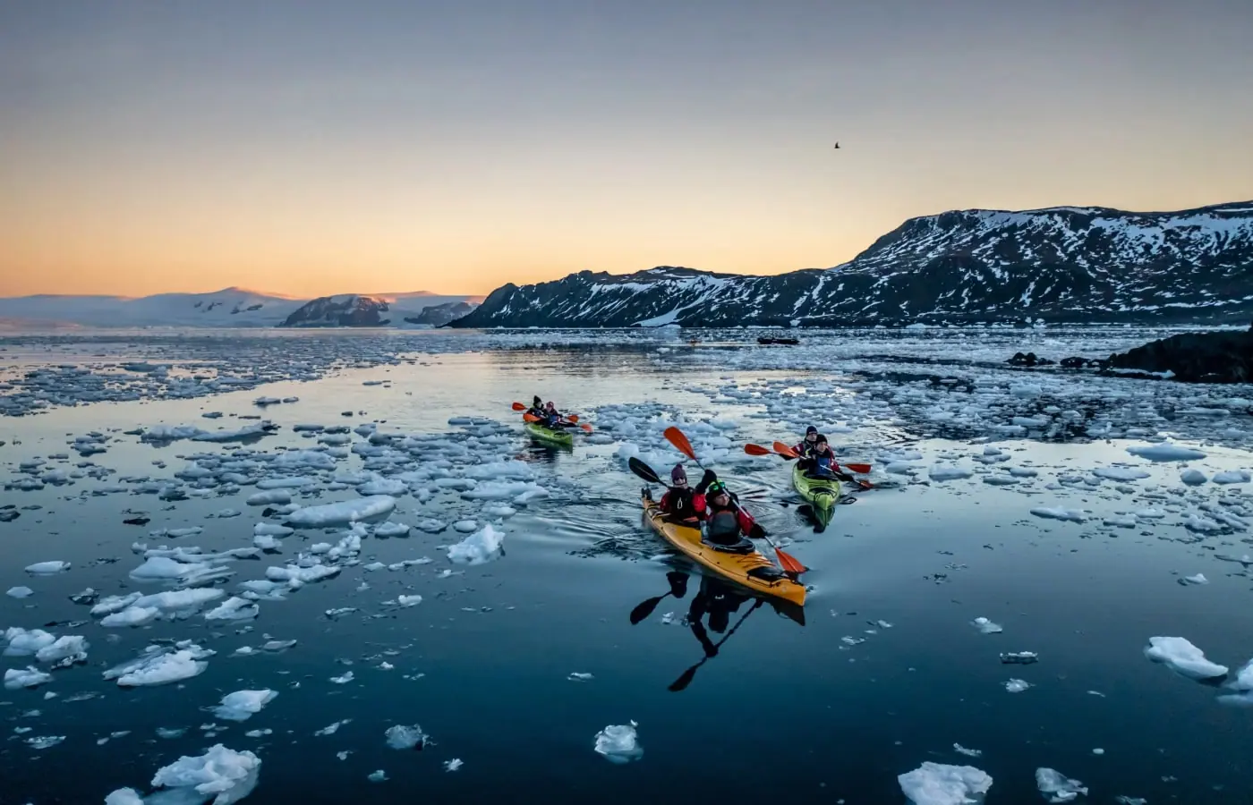 Ultramarine Emperor Penguin Quest to Snow Hill Zodiac Cruising and Landings