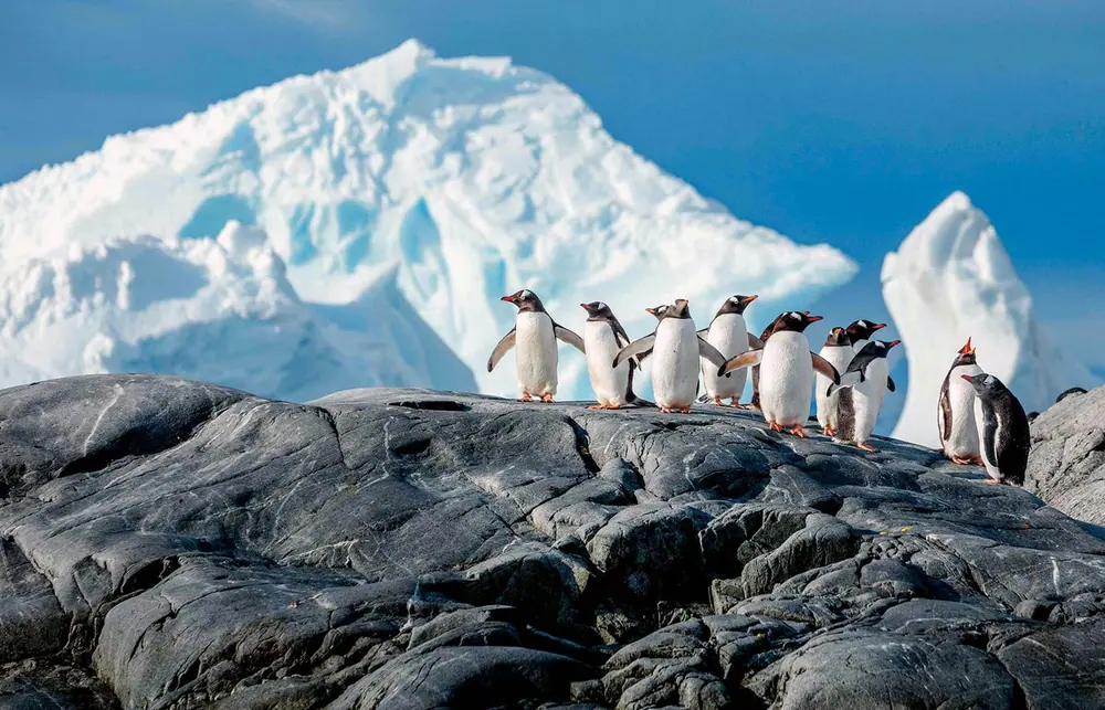 World Voyager Classic Antarctic Peninsula trip image 1