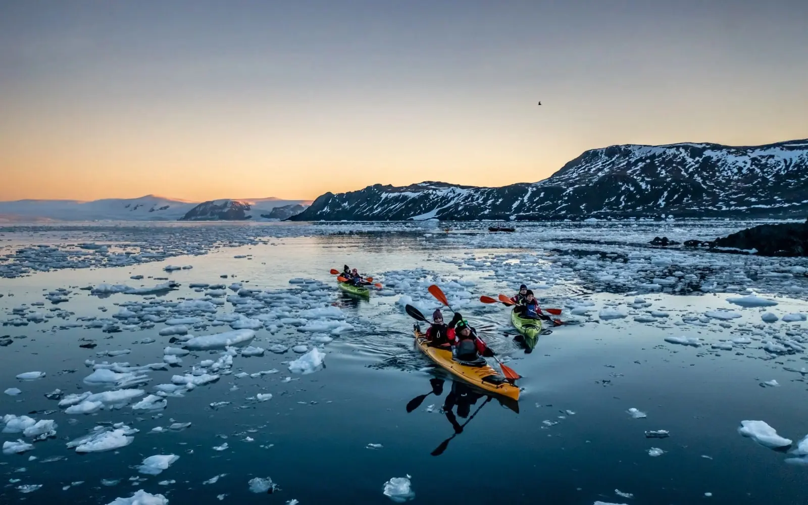 Ocean Explorer Classic Antarctic Peninsula Classic Antarctic Peninsula Experience