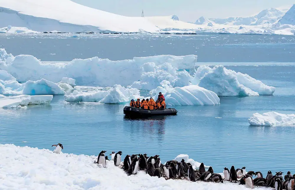 World Voyager Antarctica Fly-Cruise: Cruise South, Fly North trip image 1