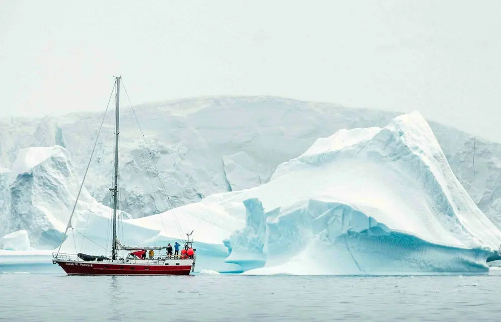 World Voyager Antarctica Fly-Cruise: Cruise South, Fly North trip image 2