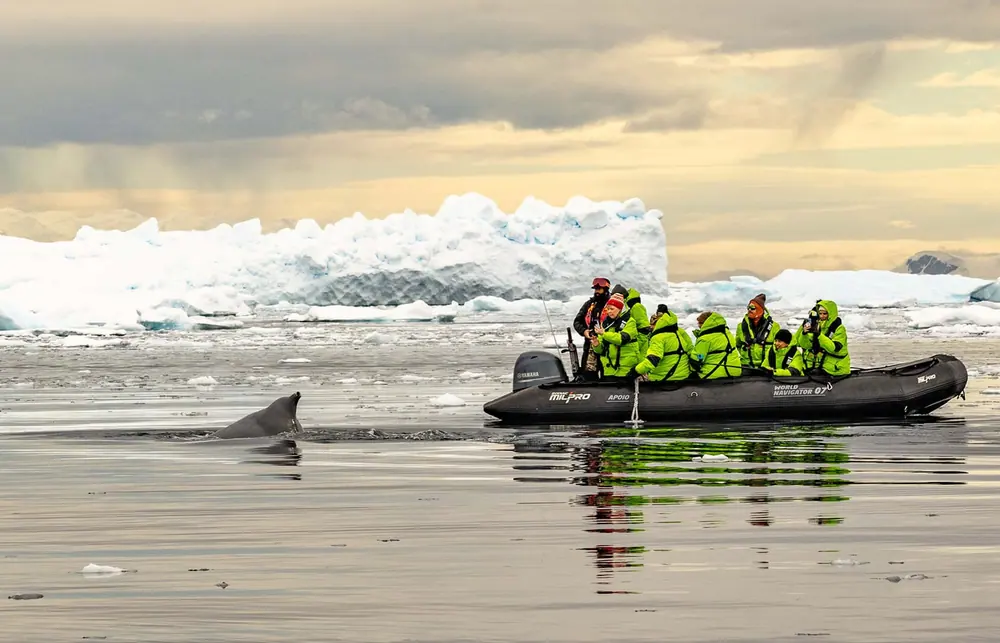 Seabourn Venture Falkland Islands, South Georgia and Antarctic Peninsula trip image 3