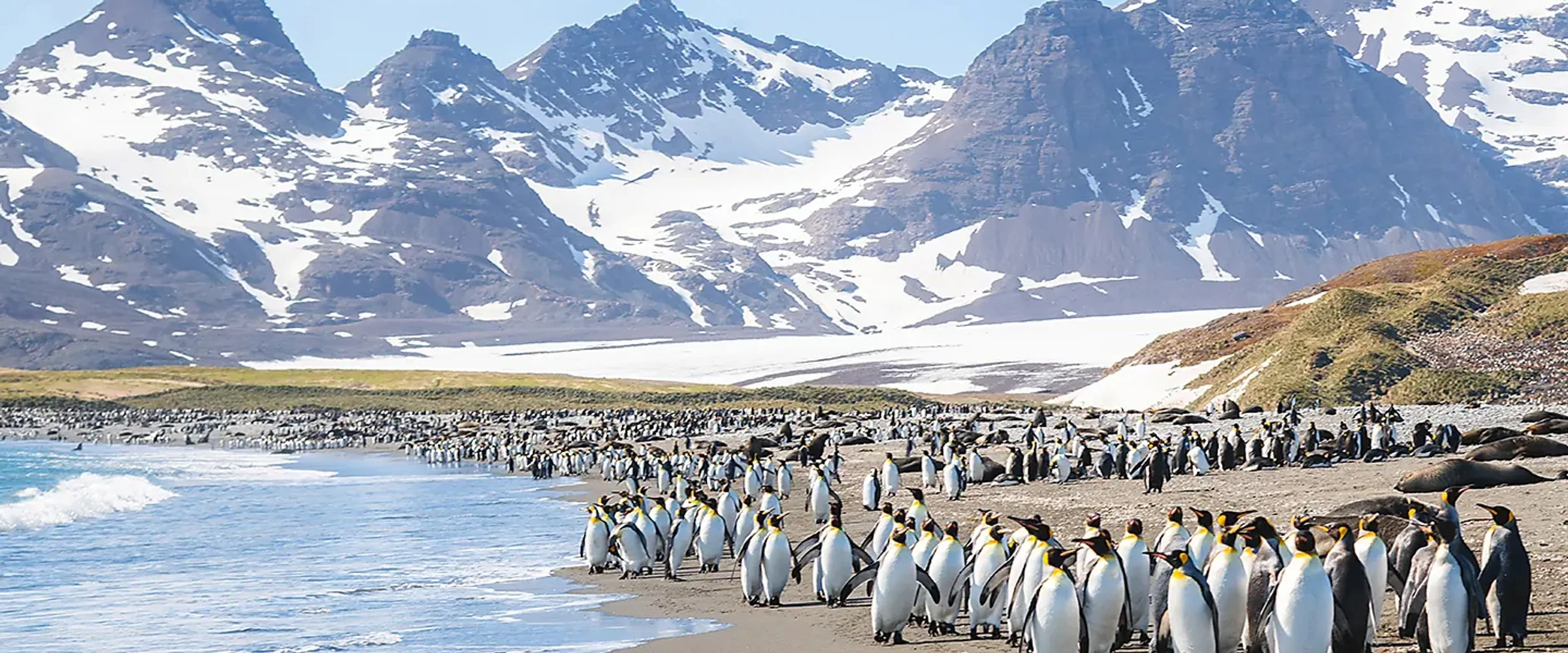 Seabourn Venture · 21-Day Falkland Islands, South Georgia and Antarctic Peninsula Cruise, Nov 18, 2026