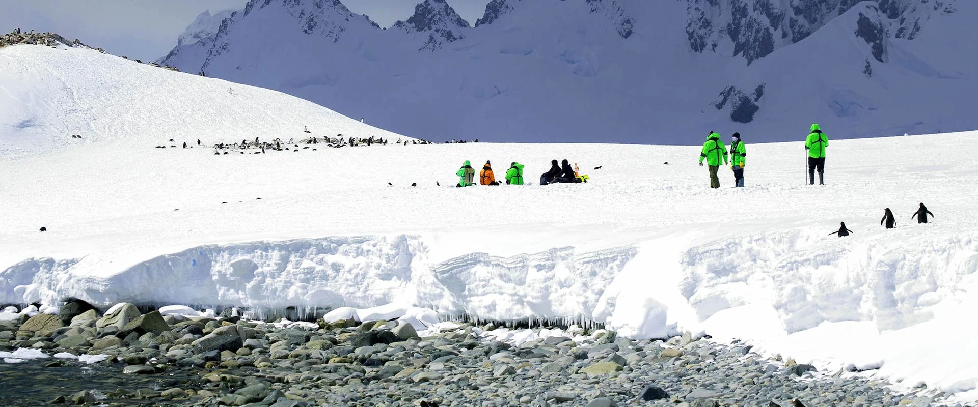 Seabourn Venture · 11-Day Antarctic Peninsula Cruise, Feb 20, 2027