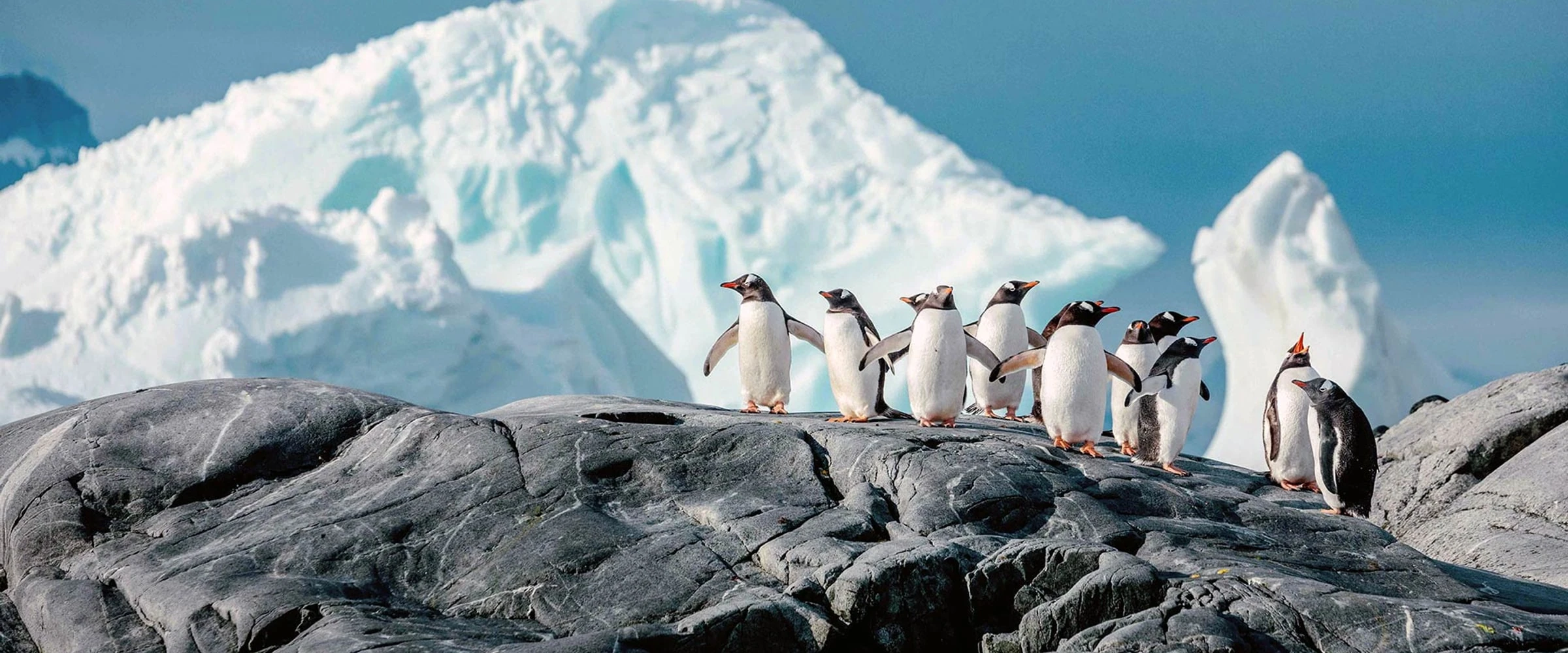 Silver Cloud · 16-Day South Georgia and Antarctic Peninsula Cruise, Feb 12, 2027