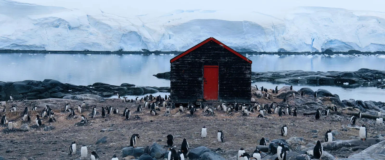 Silver Wind · 19-Day Falkland Islands, South Georgia and Antarctic Peninsula Cruise, Nov 7, 2026