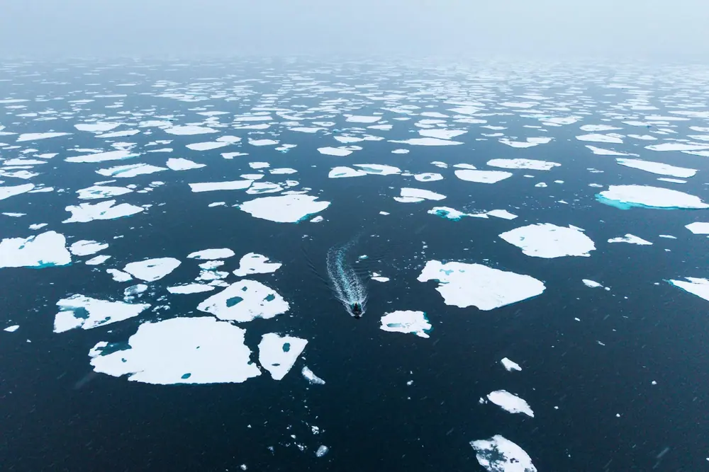 Silver Wind Antarctica Fly-Cruise: King George Island to Puerto Williams trip image 1