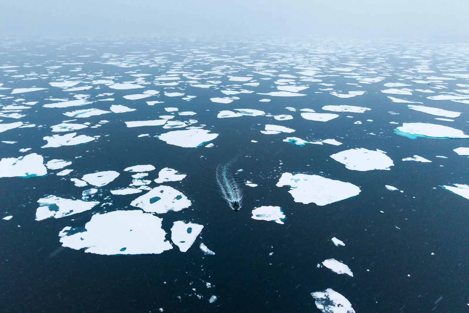 Silver Wind Antarctica Fly-Cruise: King George Island to Puerto Williams Antarctic Peninsula Ice, Glaciers and Wildlife