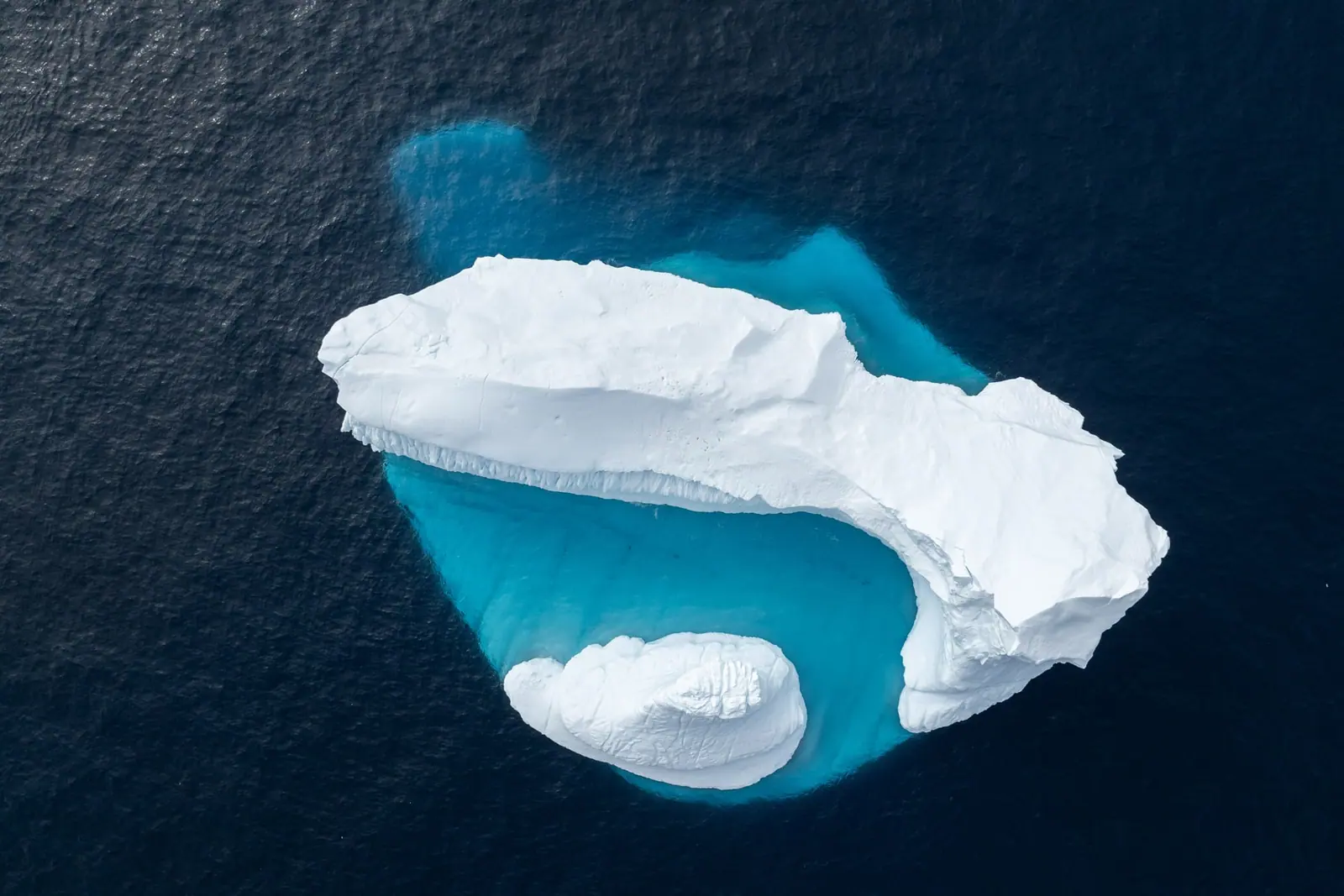 Silver Wind Antarctica Fly-Cruise: Puerto Williams to King George Island Antarctic Peninsula Ice, Glaciers and Wildlife