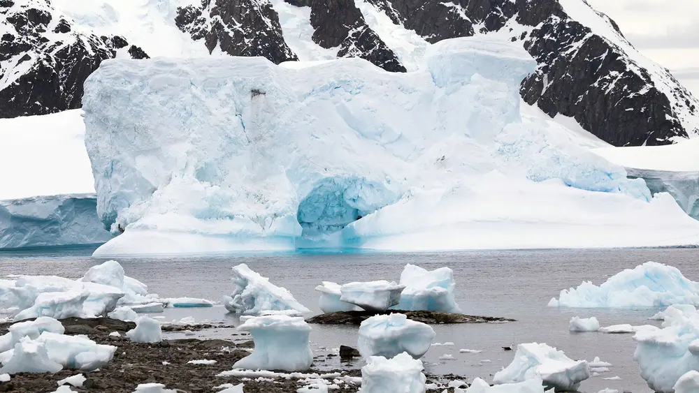 SH Minerva 10-Day Classic Antarctic Peninsula Expedition trip image 3