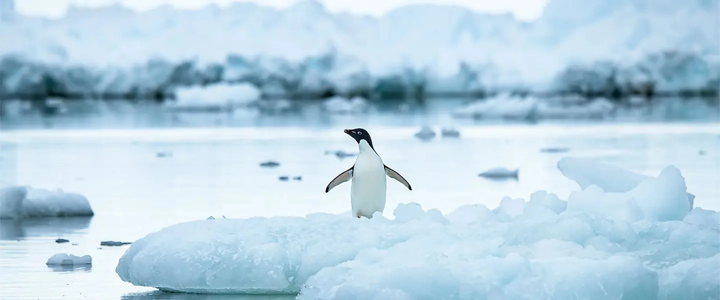 SH Diana · 10-Day Classic Antarctic Peninsula Cruise, Nov 30, 2026