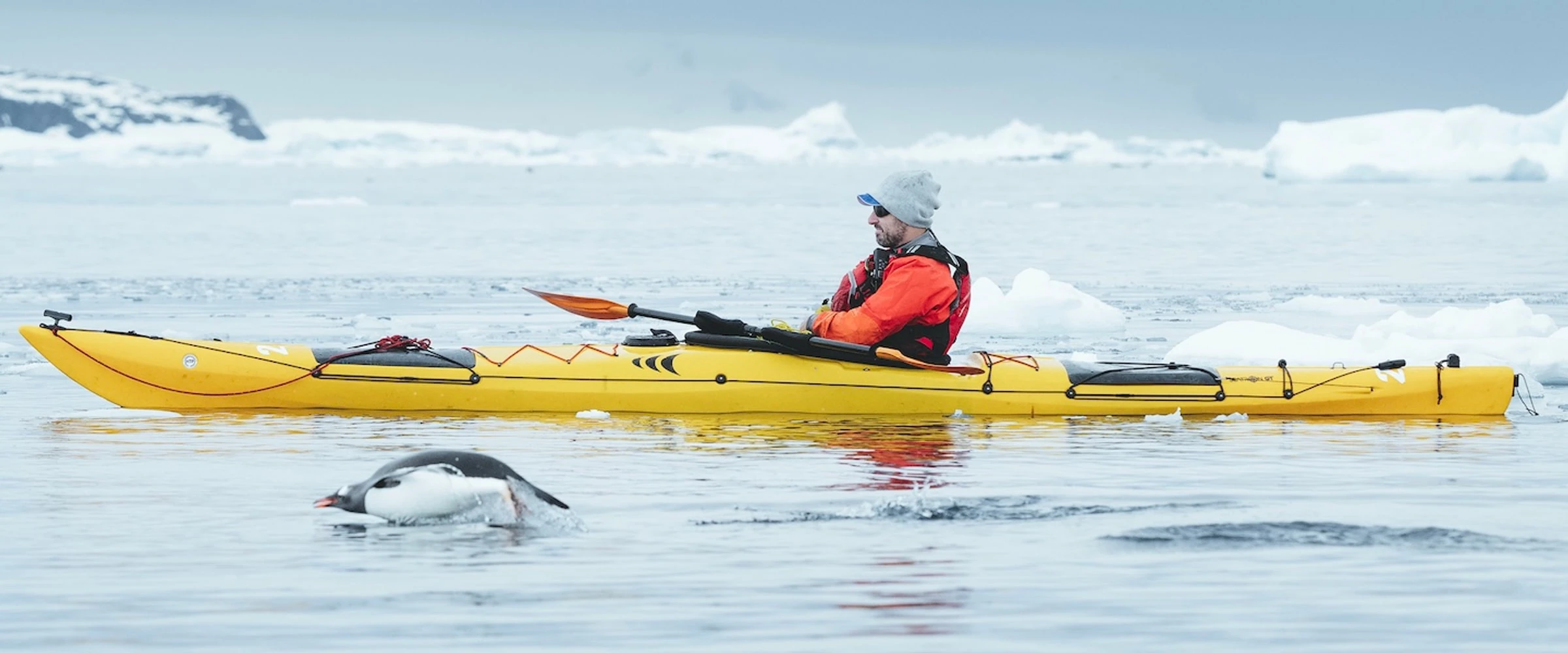 SH Diana · 11-Day Classic Antarctic Peninsula Cruise, Dec 9, 2026